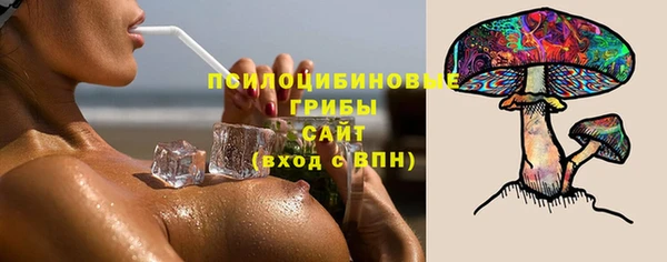прущие крисы Алексеевка