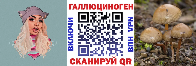 Галлюциногенные грибы мухоморы  Серафимович 